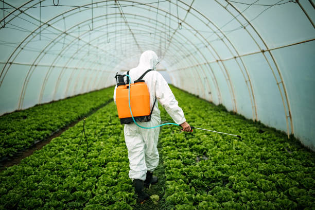 Best Local Pest Control Services  in Port Washington, NY