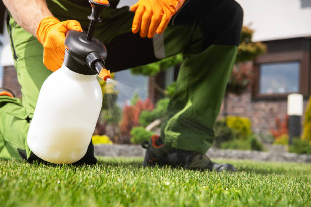 Bird Control in Port Washington, NY