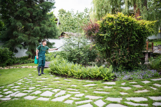 Wildlife Control Services in Port Washington, NY