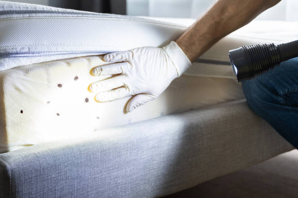 Pest Control for Restaurants in Port Washington, NY