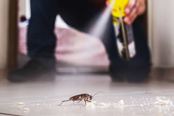 Best Commercial Pest Control Services  in Port Washington, NY