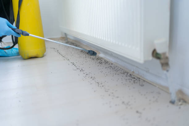 Trusted Port Washington, NY Pest Control Experts
