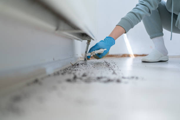 Best Pest Prevention Services  in Port Washington, NY