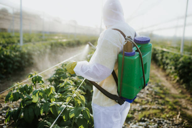 Best Pest Removal Services  in Port Washington, NY
